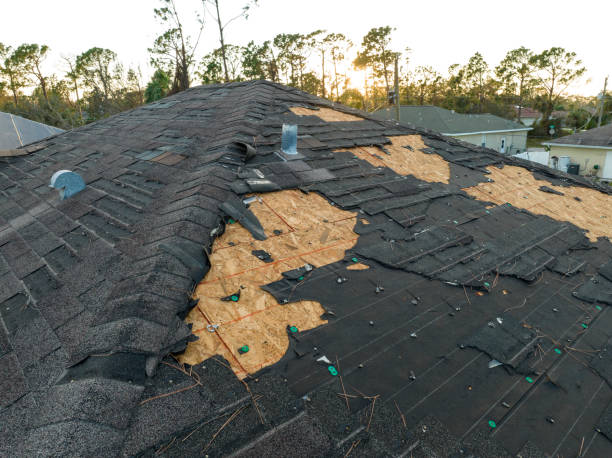 Best Solar Panel Roofing Installation  in Old Westbury, NY